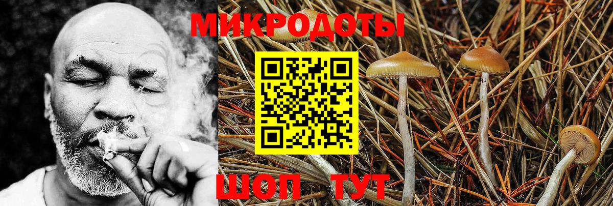 Галлюциногенные грибы прущие грибы Артём