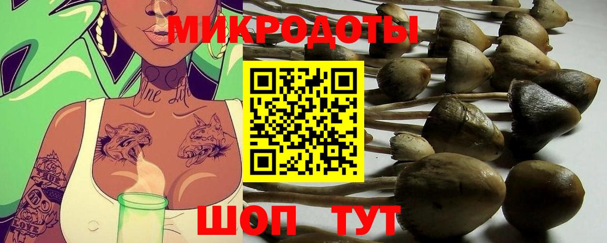 Галлюциногенные грибы мухоморы  Вход с VPN  Артём 